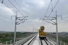 pandaprotect突然出现-开云体育